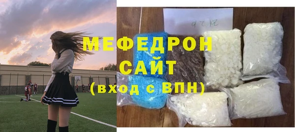 СК Алексин