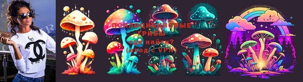 твердый Аркадак