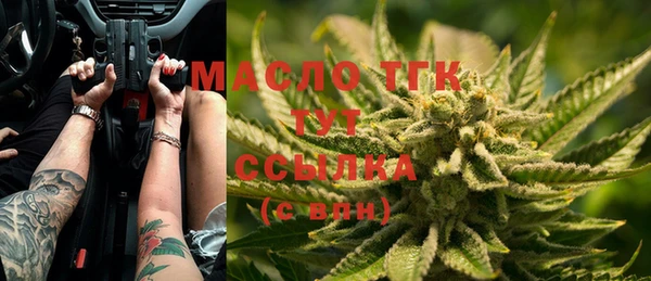 СК Алексин